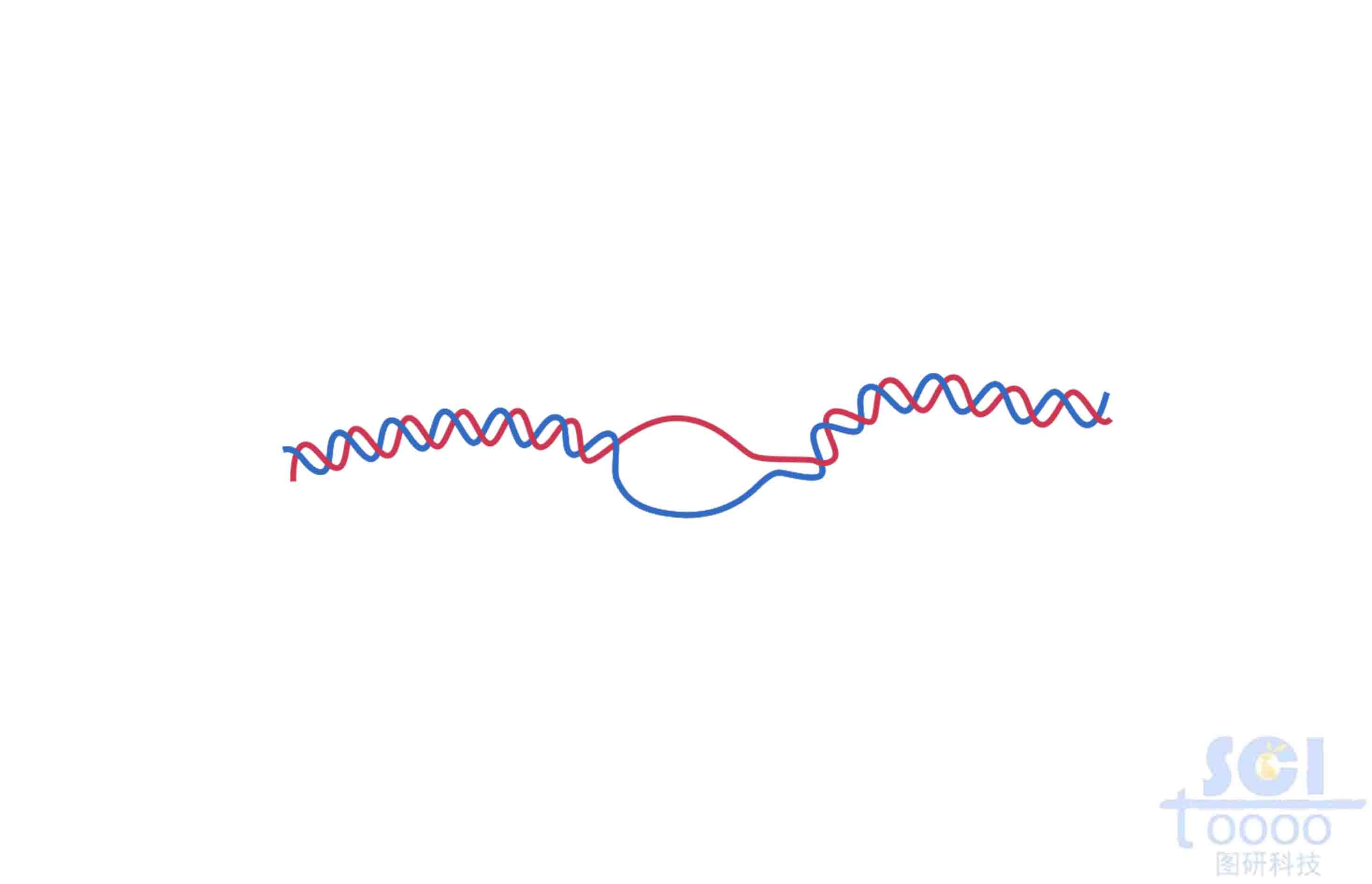 DNA