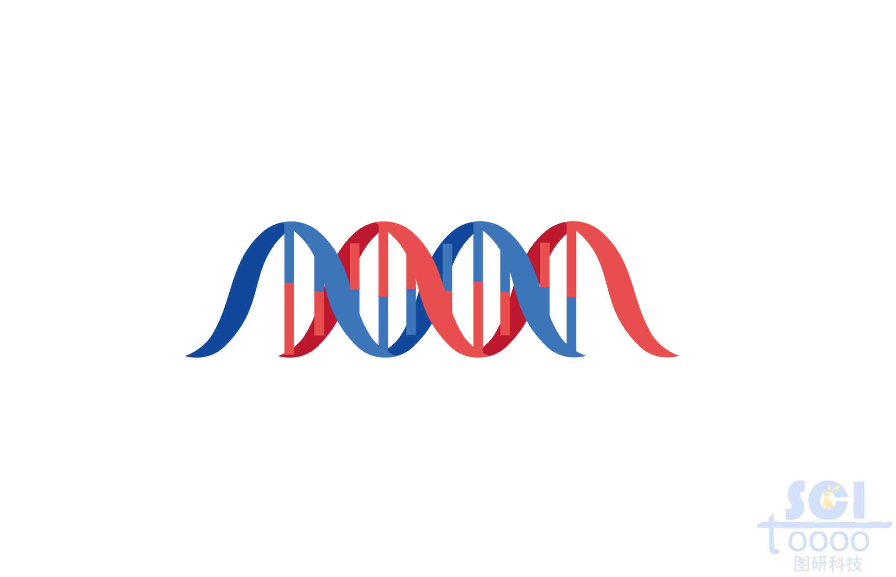 双螺旋DNA