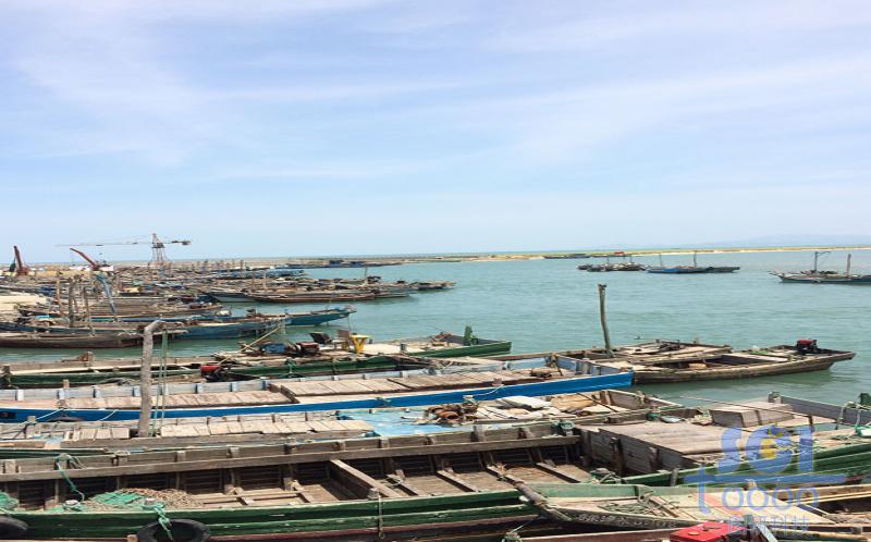 海水素材