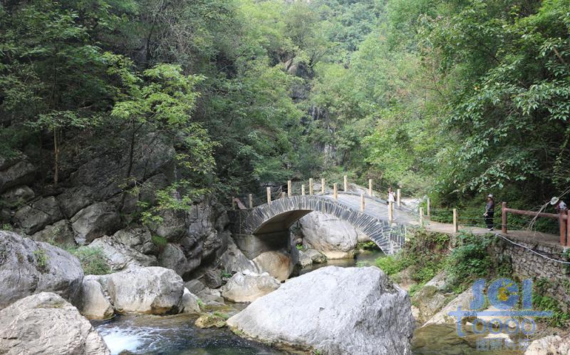 树素材