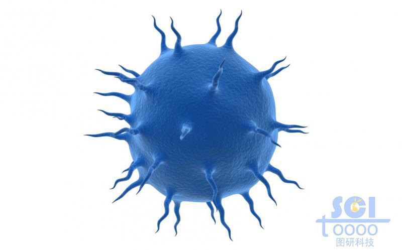 表面带突起/触角的病毒/细胞结构