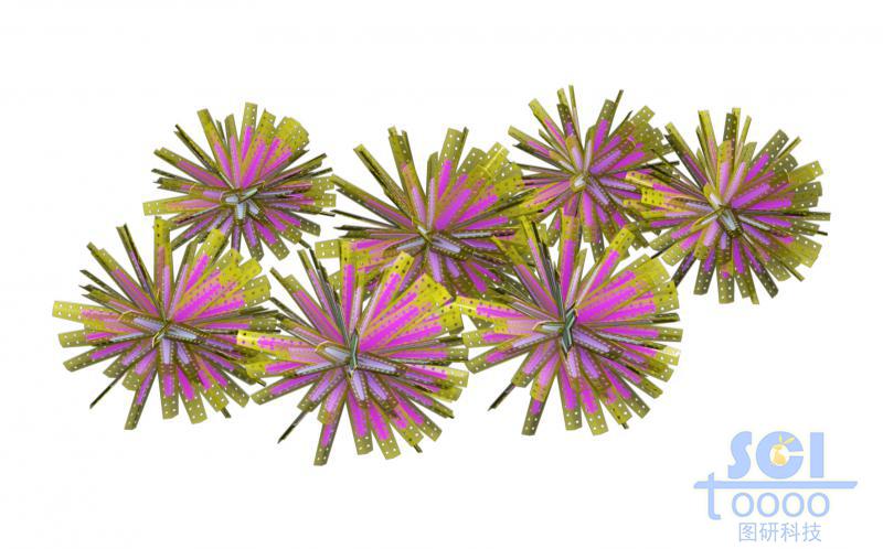 晶体团簇形成的双层结构的纳米花