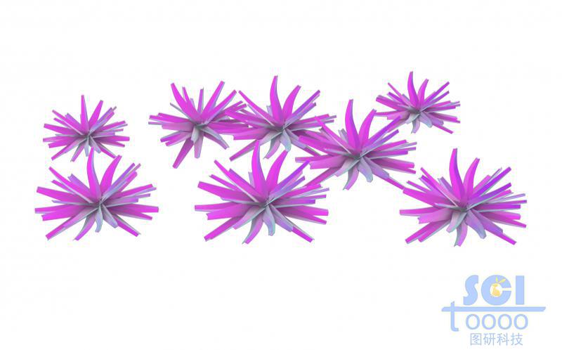 晶体团簇形成的纳米花