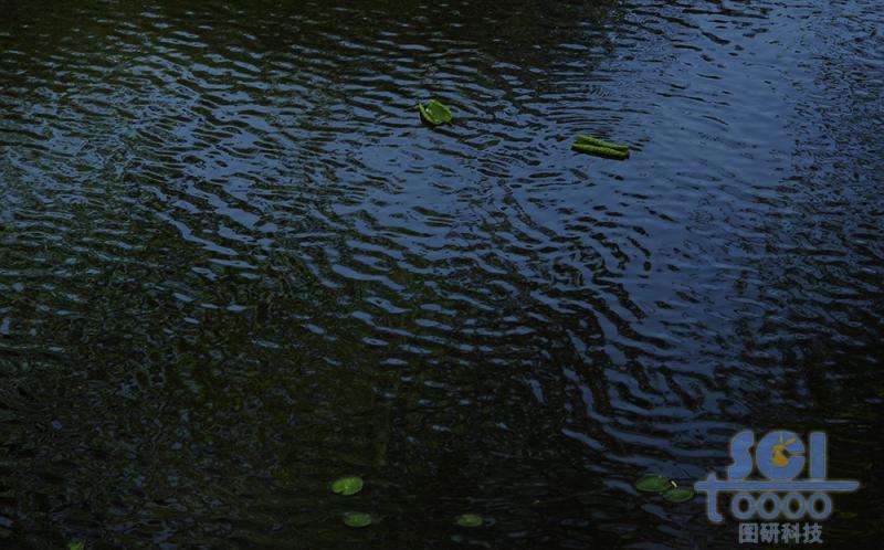 水素材