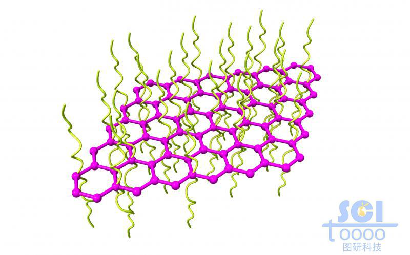 标准四边zigzag边的石墨烯片上缠绕高分子链段