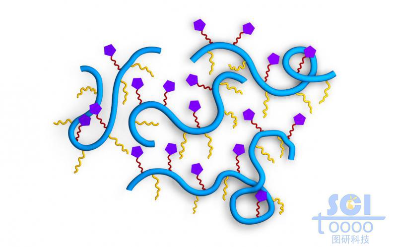 柔软带支链小分子基团的高分子链段