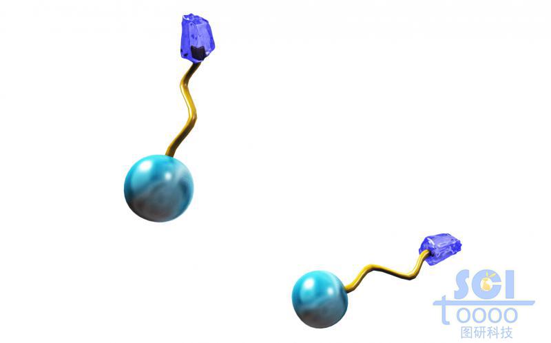 两段式高分子链段
