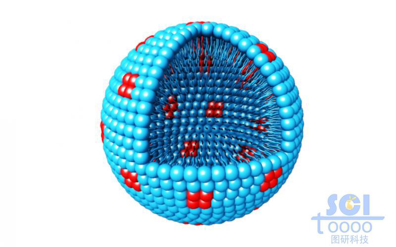 表面带功能分子/小分子基团掺杂的胶束球