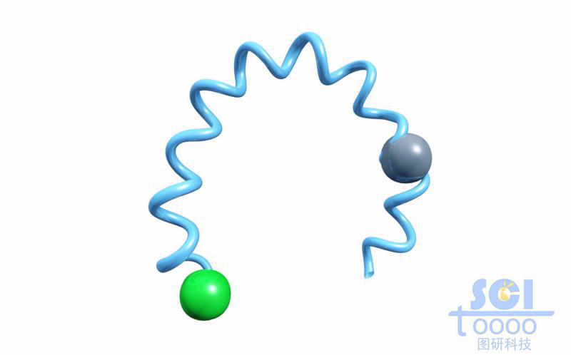 带荧光基团/荧光探针的RNA链