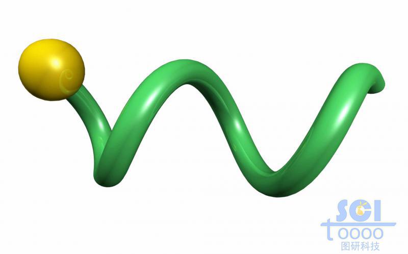带荧光基团/荧光探针的DNA链