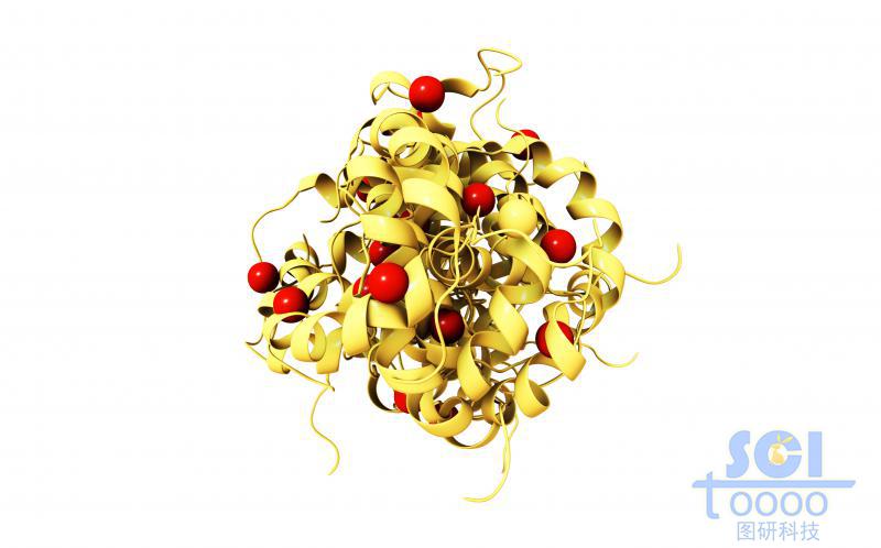 蛋白质团簇内嵌DOX药物