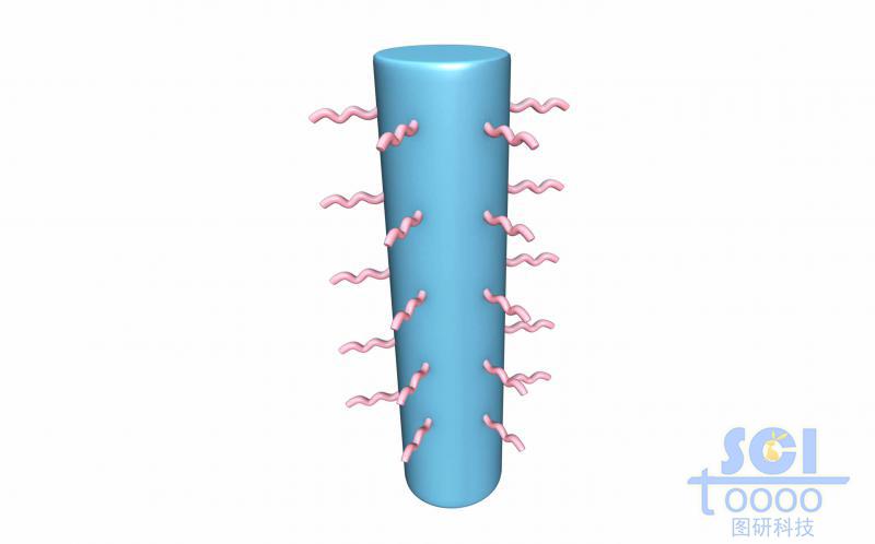 四周生长高分子链段的纳米柱