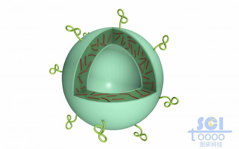 高分子链段交联形成的空心球壳