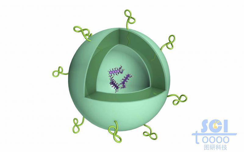 高分子链段交联形成的空心球壳内部含小分子药物