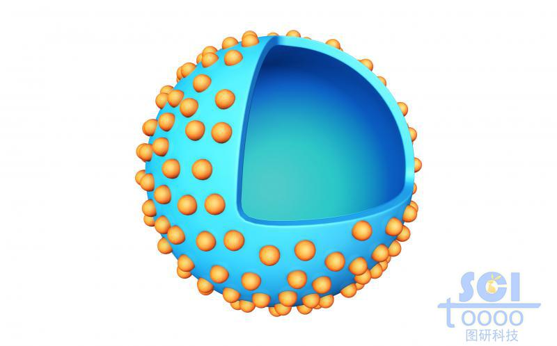表面带小基团/功能基团的内部空腔的空心纳米球