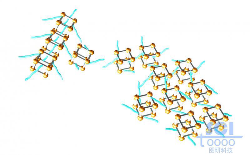 带高分子链段且高分子链段相互交联的金属骨架结构