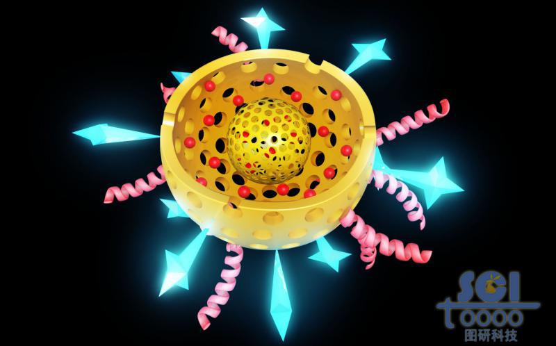 带二分之一切口的双层介孔球/硅球/纳米颗粒孔道内含药物DOX外修饰肽链/星形结构分子