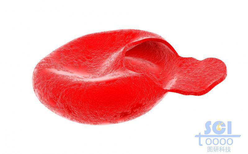 破裂的血红细胞