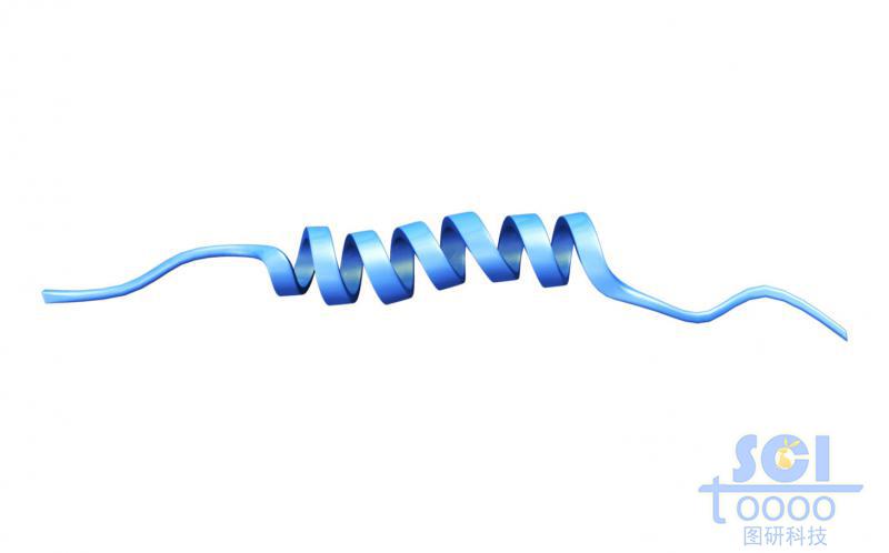 短肽链结构