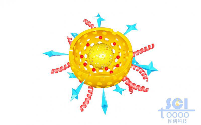 带二分之一切口的双层介孔球/硅球/纳米颗粒孔道内含药物DOX外修饰肽链/星形结构分子
