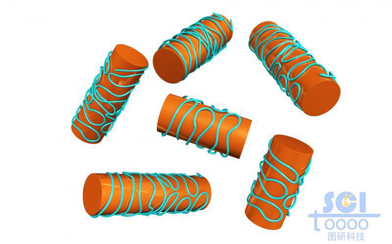 高分子链段螺旋缠绕的纳米棒