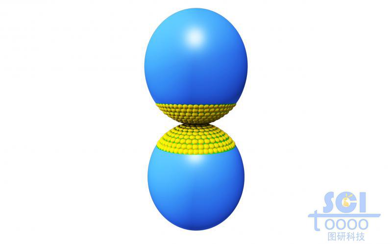 两个高分子聚合球底端相连连接处呈小球状