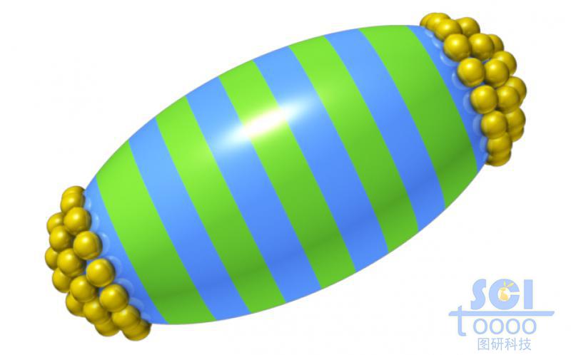 两种高分子结构形成的橄榄球状聚合物两端呈现小球堆积状