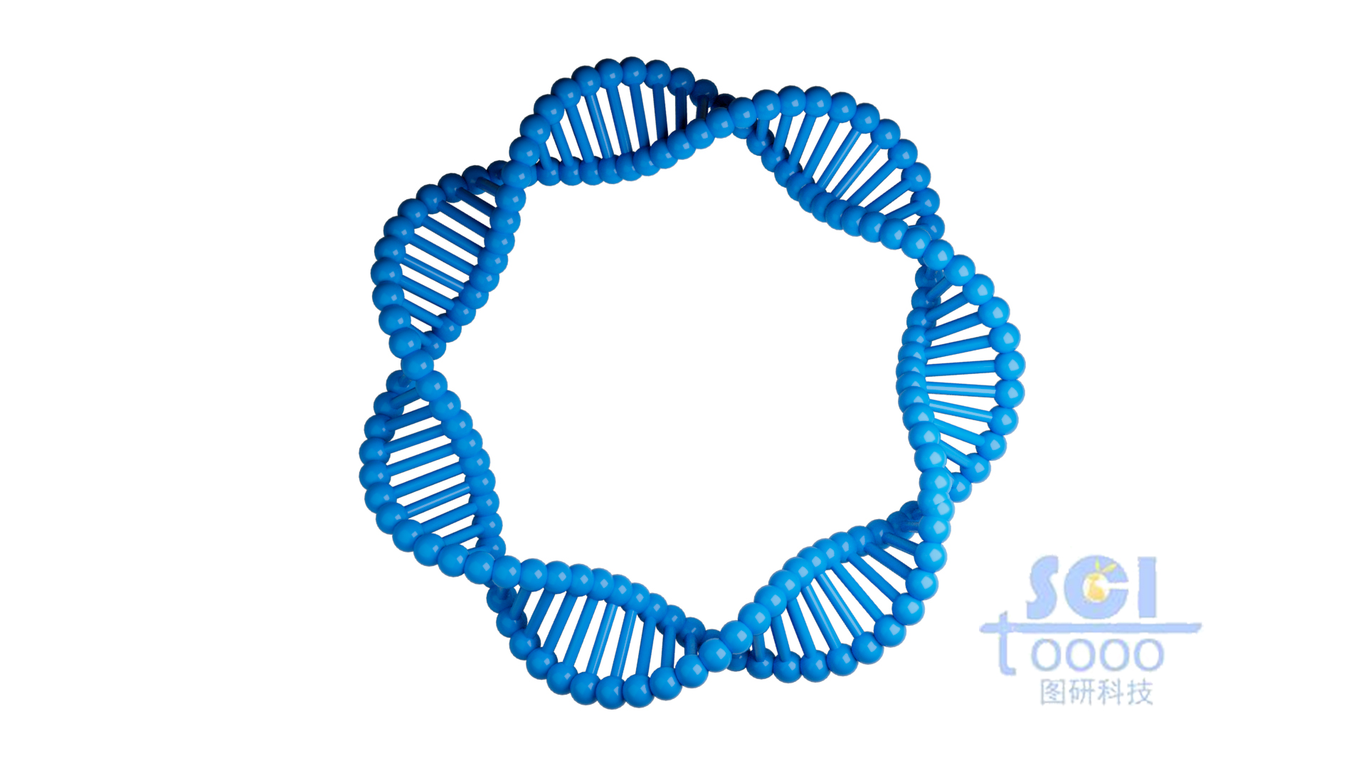 质粒DNA
