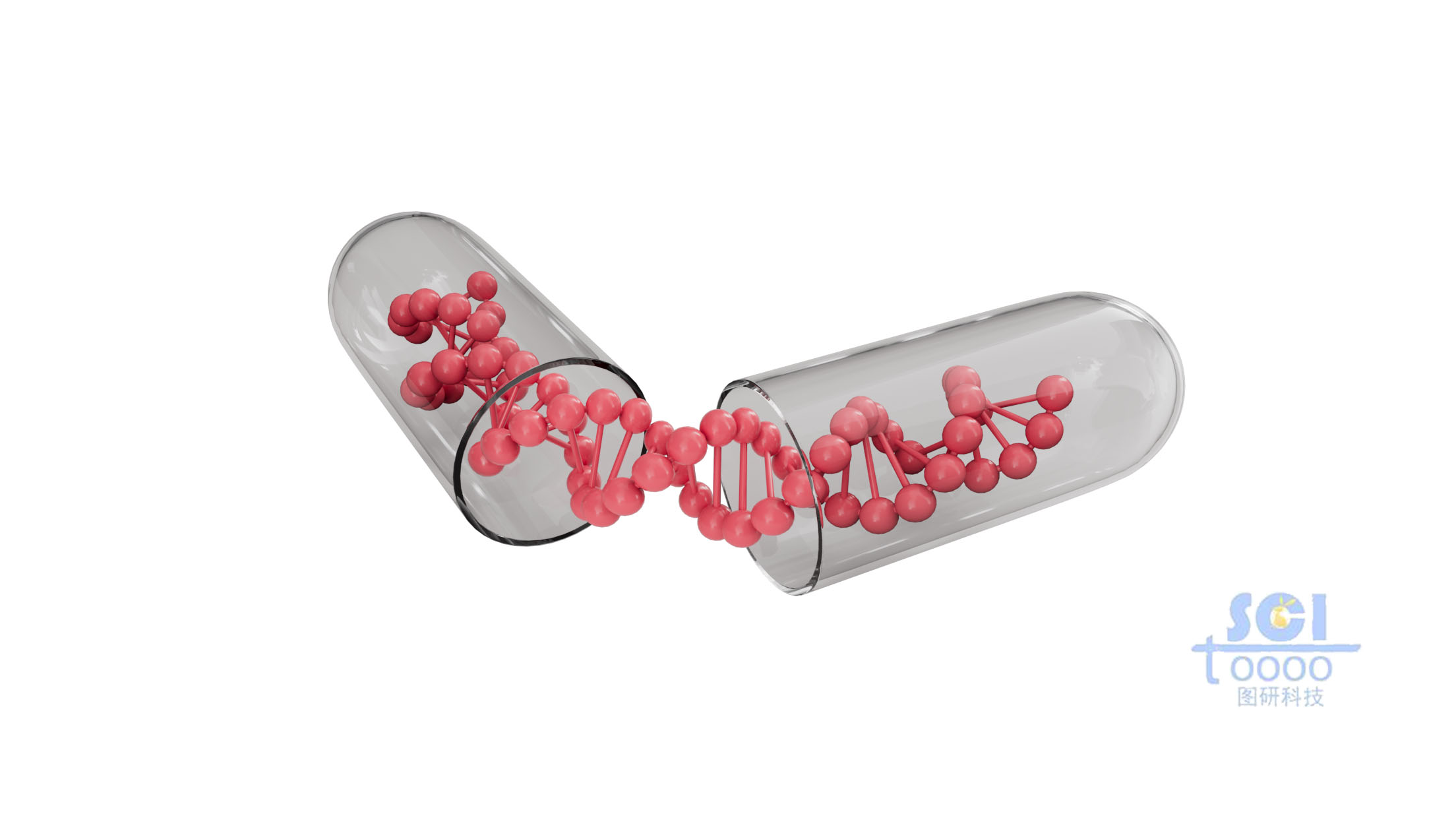 胶囊里的DNA链