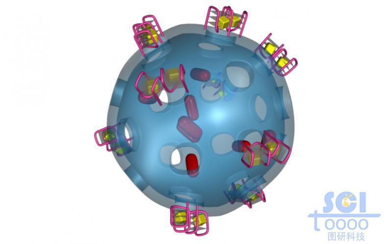 介孔硅载药模型