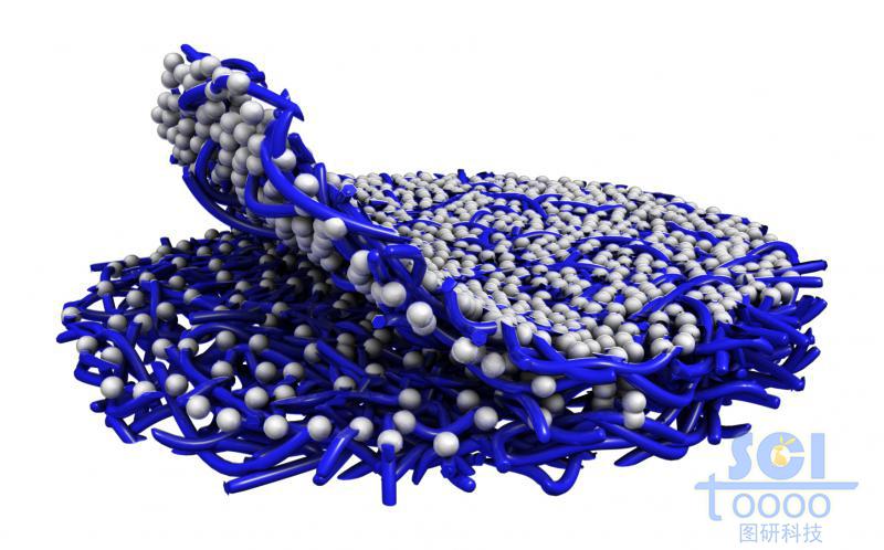 高分子链段堆积的圆饼状的疏水膜