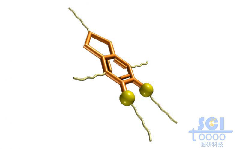 分子模式图