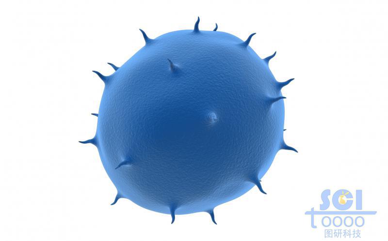 表面带突起/触角的病毒/细胞结构