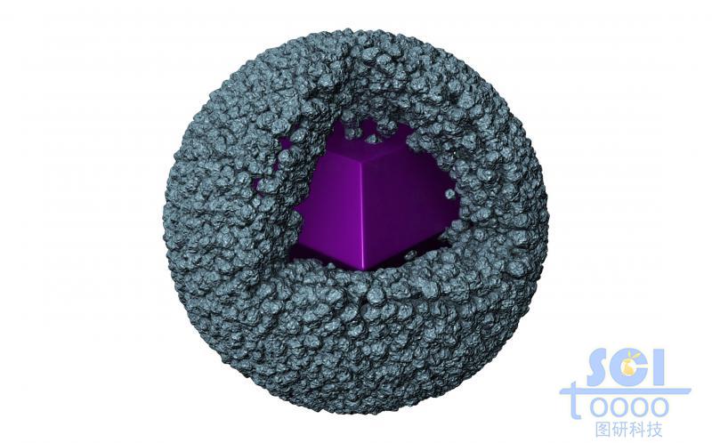 纳米颗粒堆积的表面多孔道的空心球壳结构内部生长多面体结晶