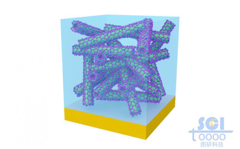 金基底板上的碳纳米管堆积生长形成错落的碳纳米管骨架结构