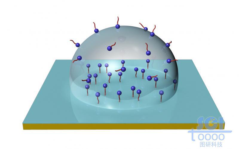 表面带活性小基团的半球形液滴