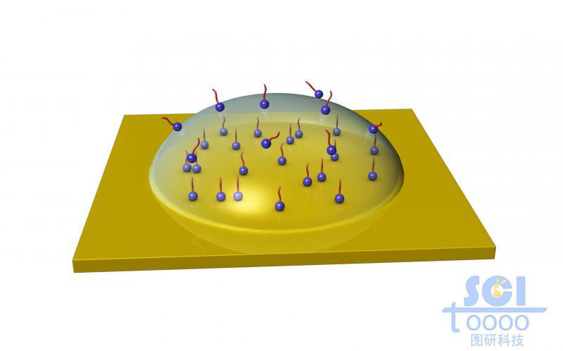 表面带活性小基团的半球形液滴