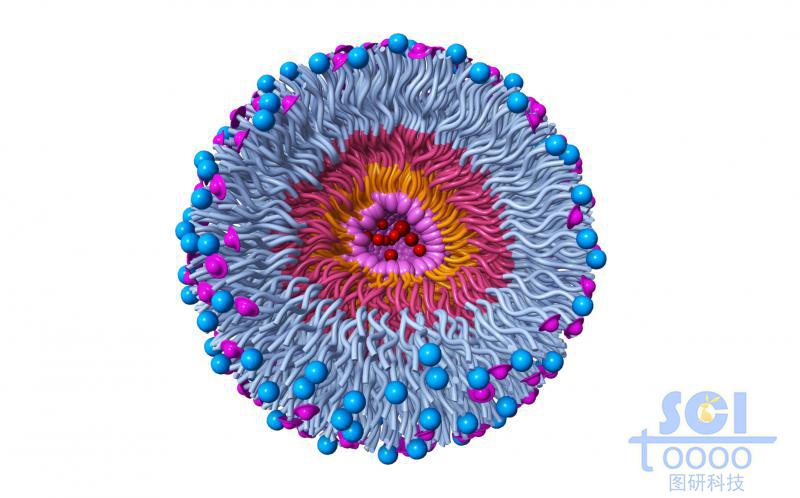 高分子链段向心团聚形成的纳米药物/纳米粒子
