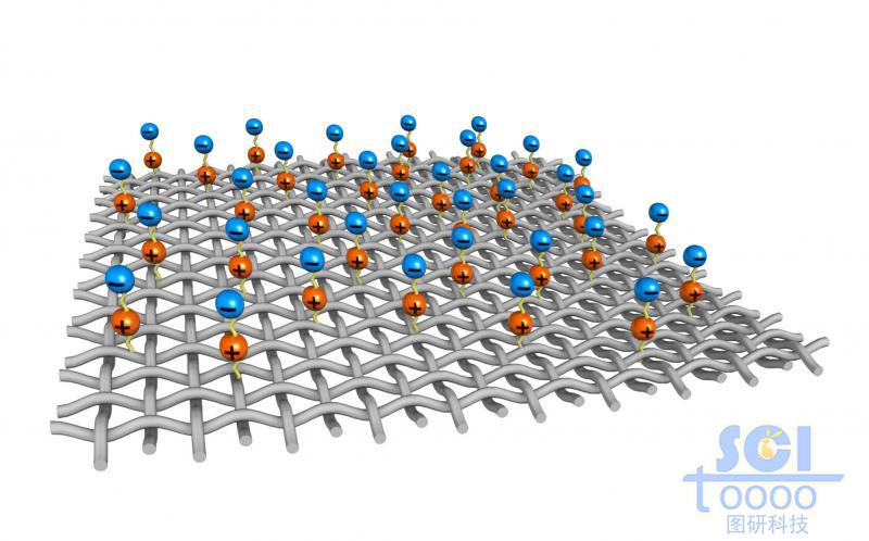 表面附着带+/-电荷的纵横交错的网状膜结构