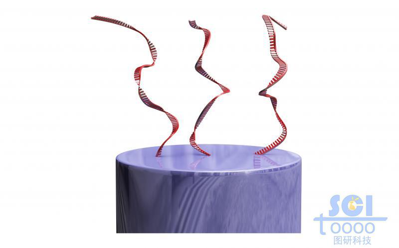 顶端带DNA配体的纳米线放大图
