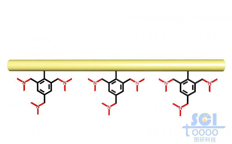 带小分子基团的高分子链段模式图/示意图