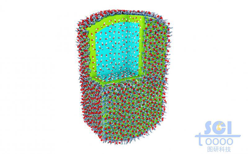 八分之一切口的内嵌小分子药物的高分子聚合体外层分部小分子基团基团