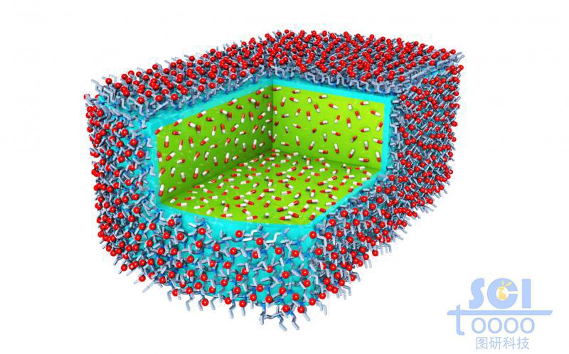 八分之一切口的内嵌小分子药物的高分子聚合体外层分部小分子基团基团