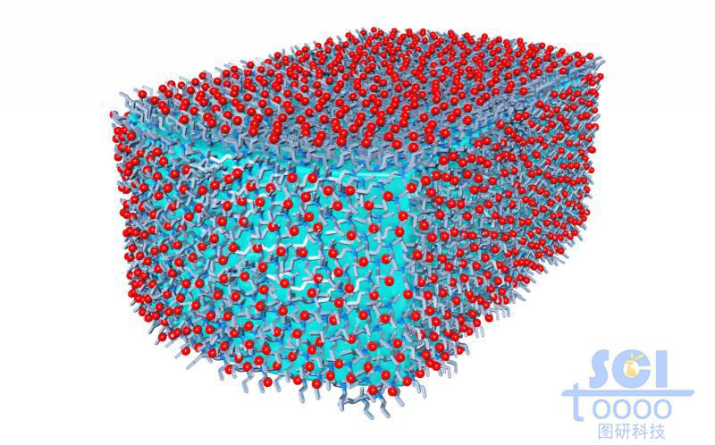 内嵌小分子药物的高分子聚合体外层分部小分子基团基团