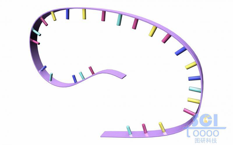 带碱基的RNA链