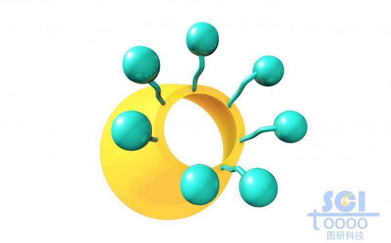 分子模式图