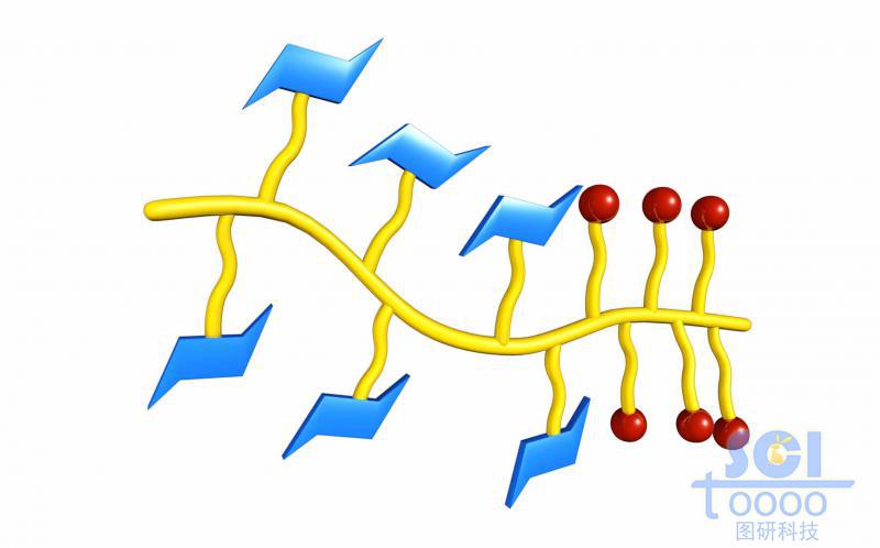 带功能基团的高分子链段