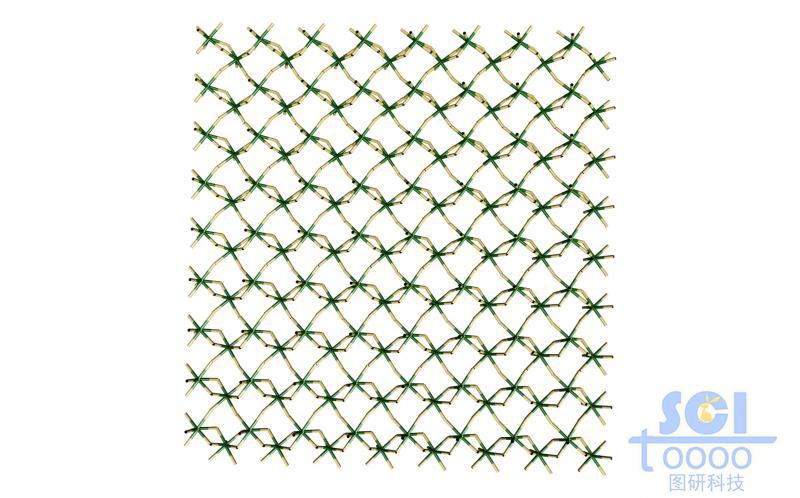 小分子形成的网状结构