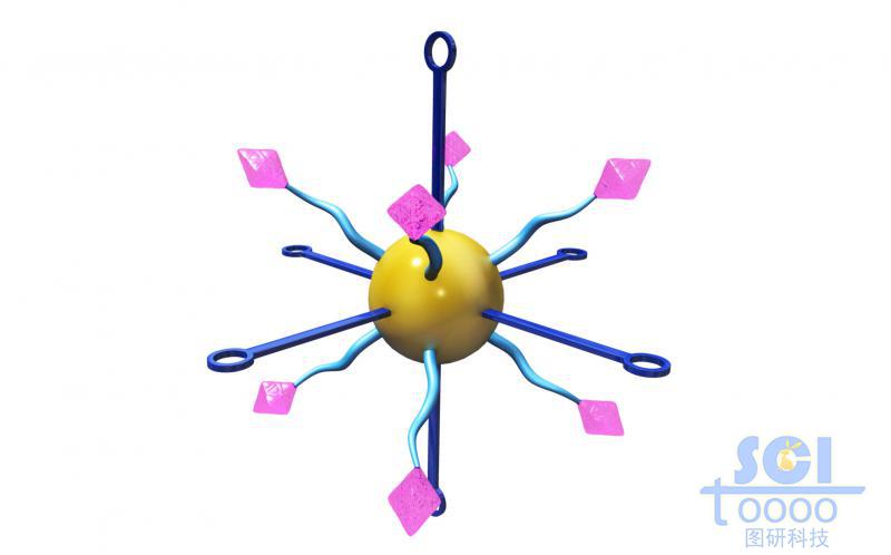 带荧光基团和受体的纳米金/纳米颗粒