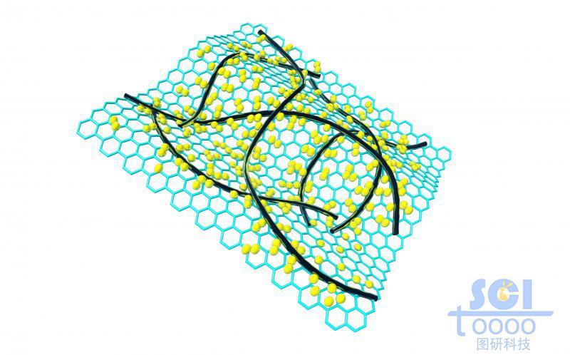 表面附着纳米线/碳纳米管与小分子的石墨烯